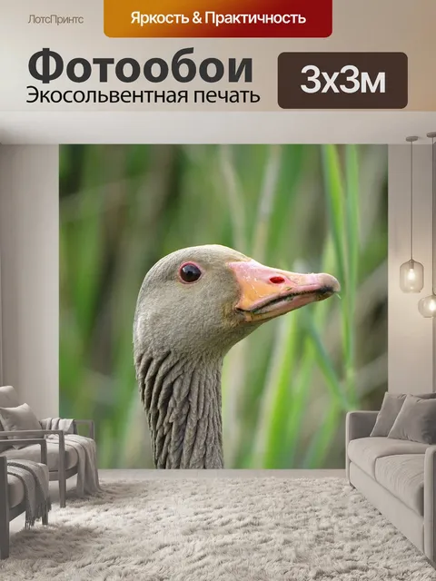 Фотообои Природа