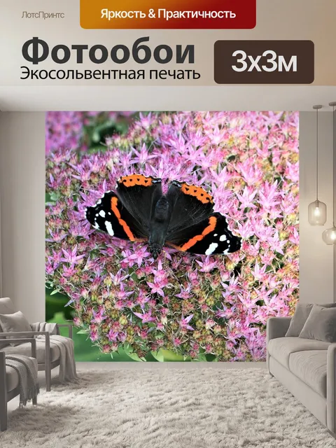 Фотообои Бабочка
