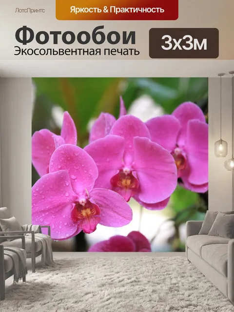 Фотообои Орхидеи