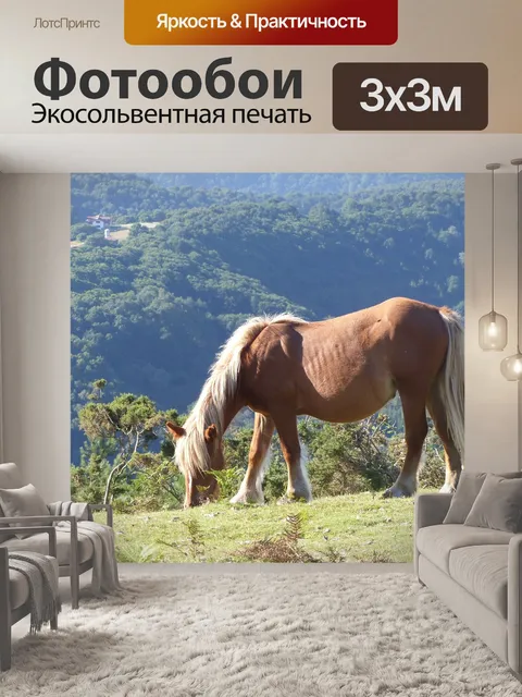 Фотообои Лошадь