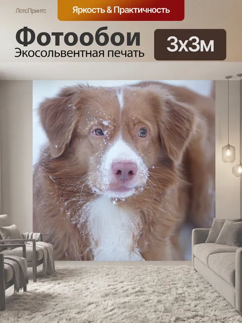 Фотообои Собака