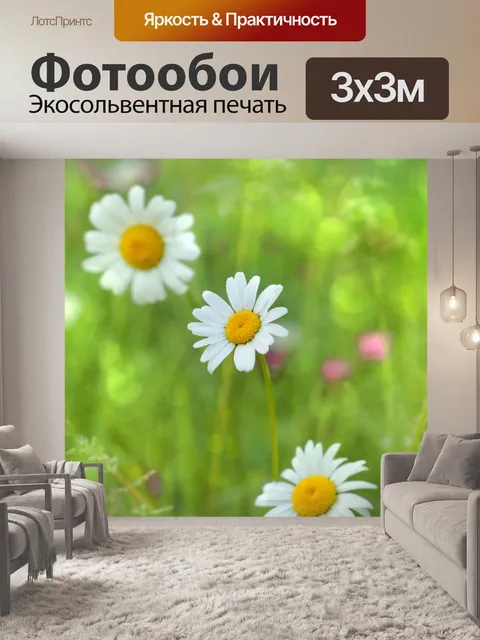 Фотообои Ромашка цветущее дикорастущее растение