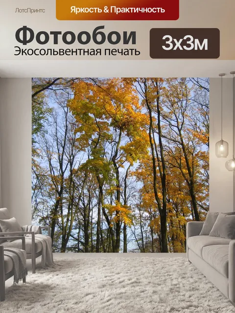 Фотообои Деревья