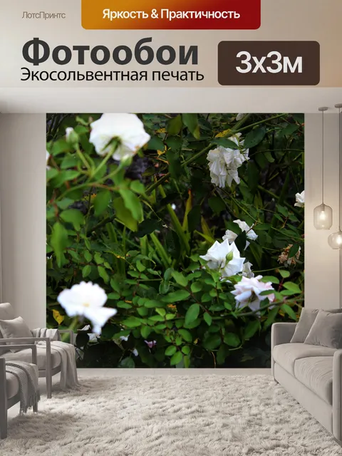 Фотообои Белые розы 2