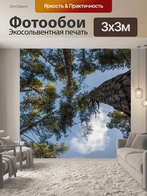 Фотообои Деревья
