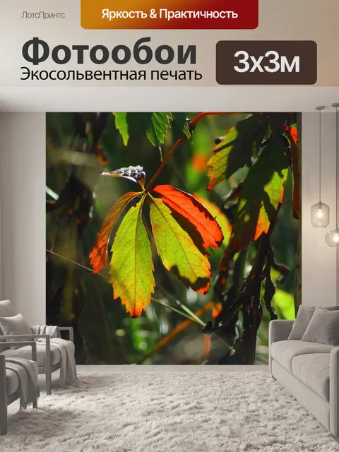 Фотообои Растения