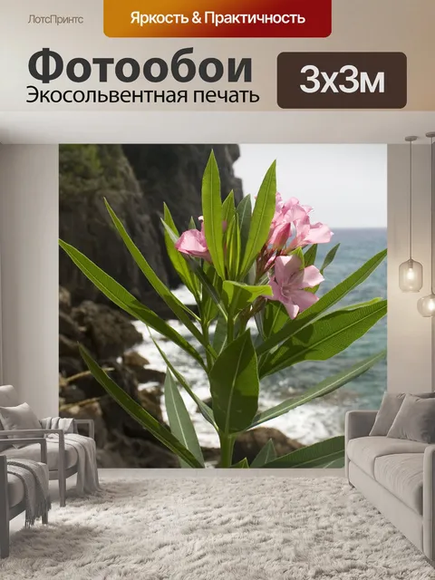 Фотообои Цветок на beach