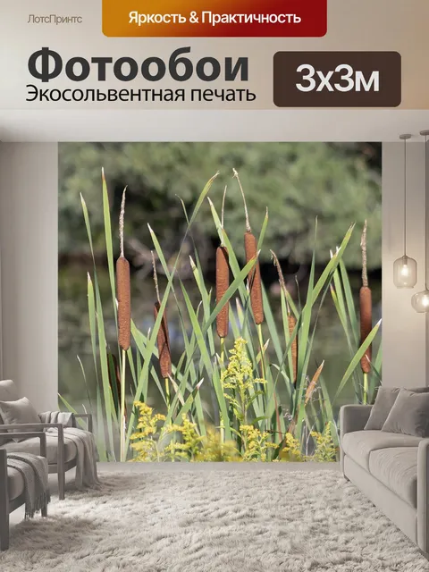 Фотообои Озеро