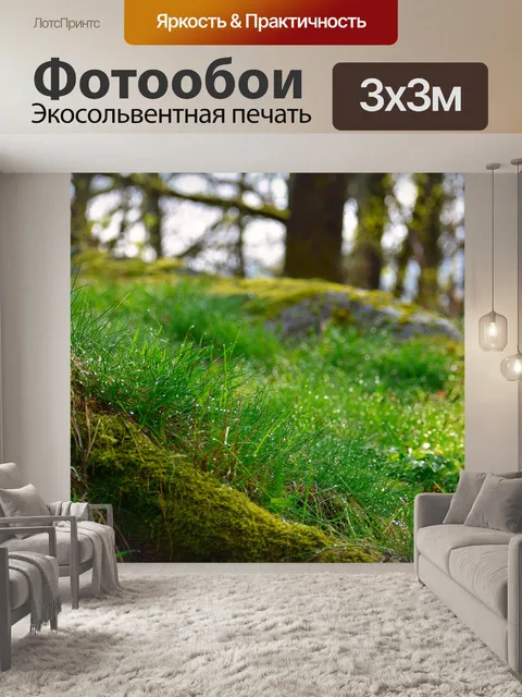 Фотообои Лесной массив