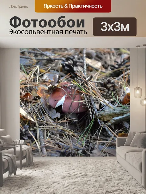 Фотообои Гриб