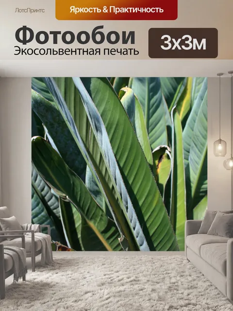 Фотообои Стрелиция лист