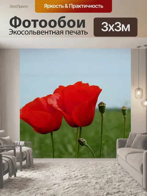 Фотообои Маки