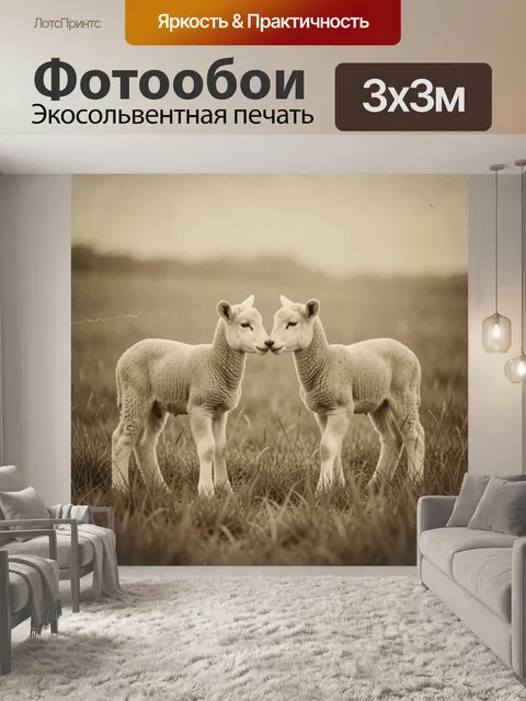 Фотообои Две белые овечки