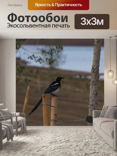 Фотообои Черная Славянная Птица Сорока