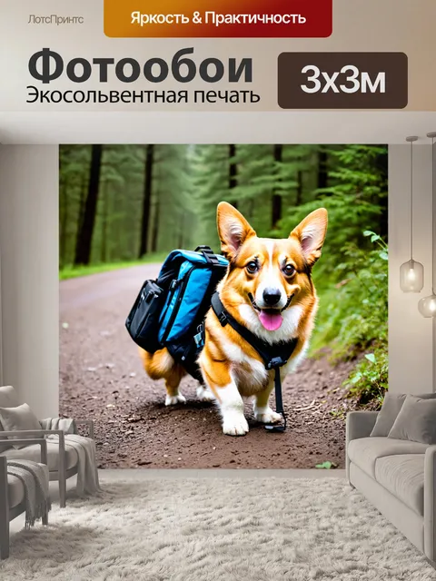 Фотообои корги с рюкзаком, отправляющийся в поход