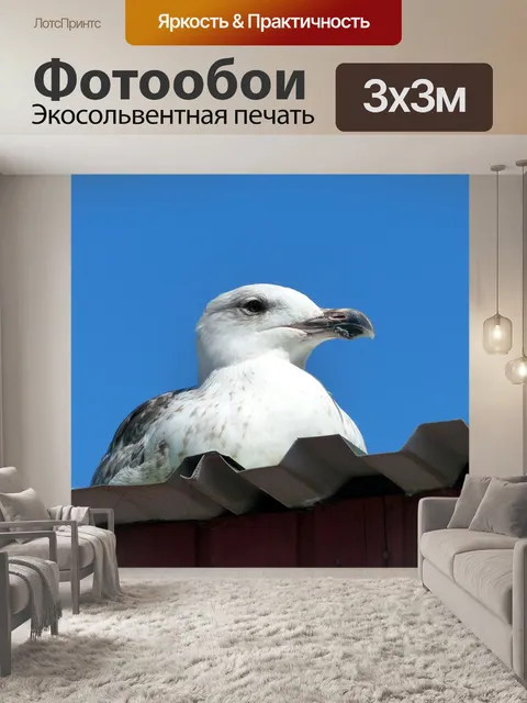 Фотообои Птица