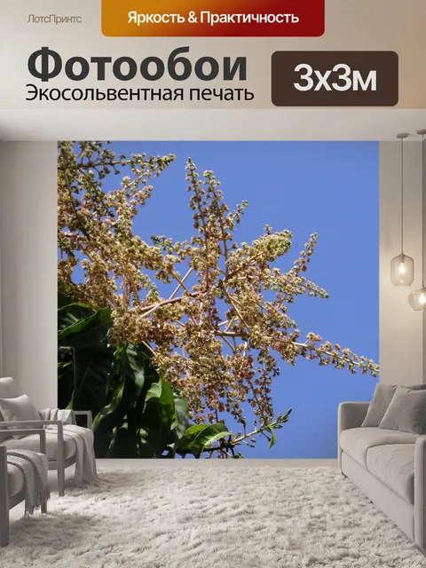 Фотообои Цветы