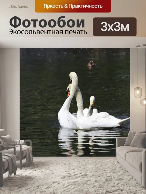 Фотообои Лебеди