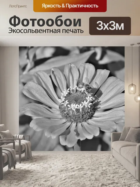 Фотообои Цветок