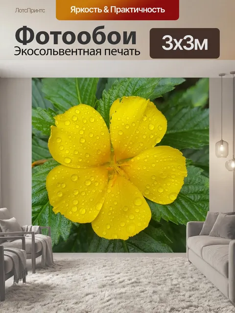Фотообои Розы