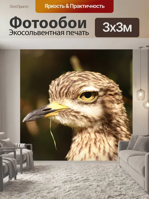 Фотообои Птица