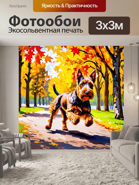 Фотообои шотландский терьер бегает по осеннему парку