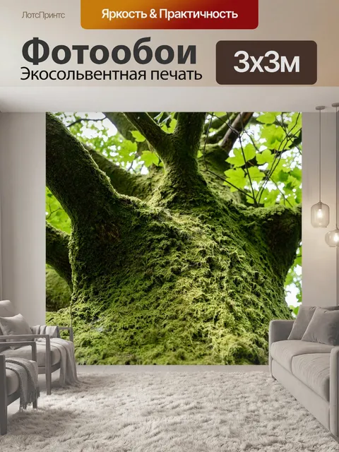 Фотообои Лес