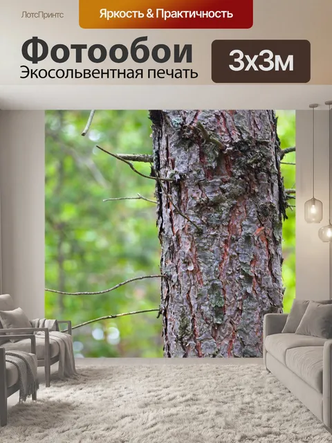 Фотообои Лес