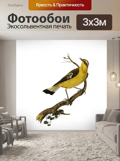 Фотообои Винтажное Искусство Птицы