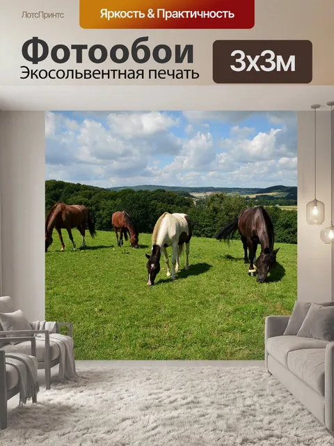 Фотообои Лошади