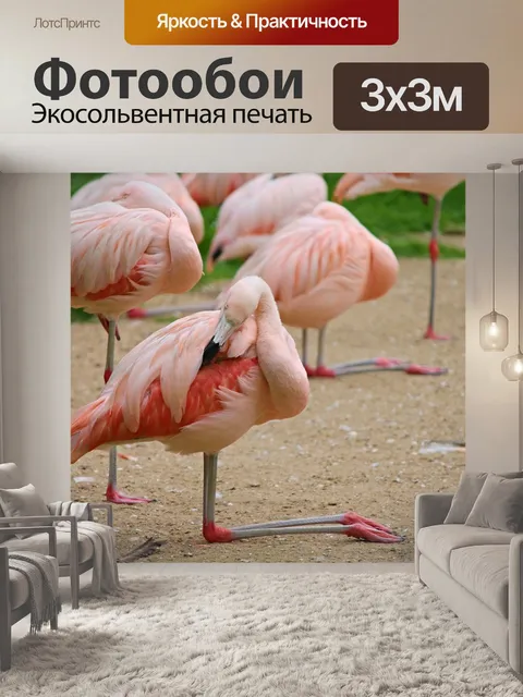 Фотообои Фламинго