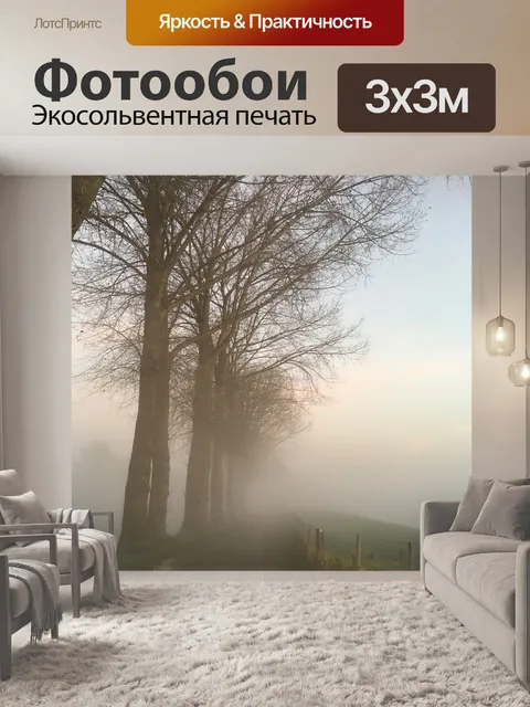 Фотообои Проселочная дорога