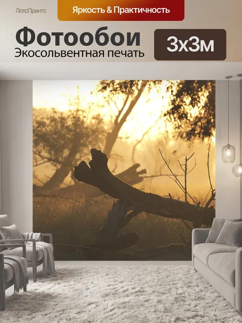 Фотообои Лес