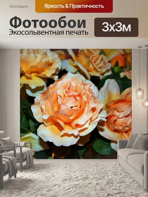 Фотообои персик розы близко