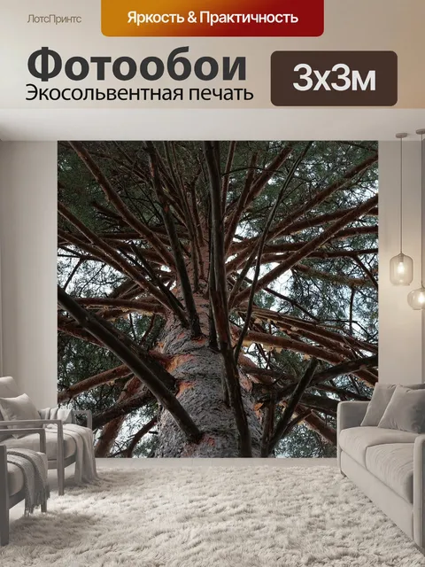 Фотообои Лес