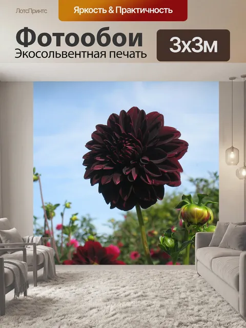 Фотообои Далия