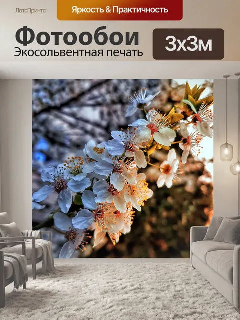 Фотообои Цветок