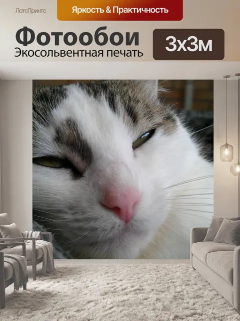 Фотообои Кошка