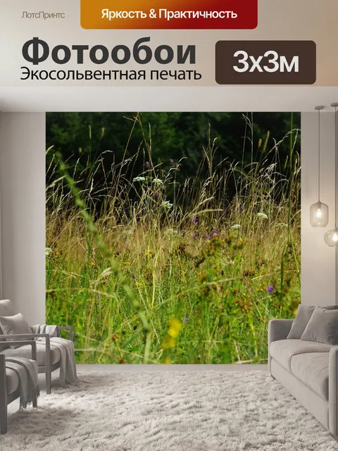 Фотообои Луг