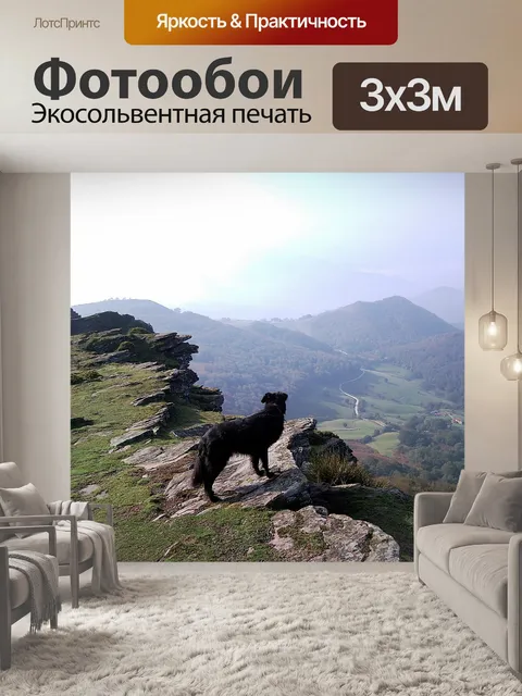 Фотообои Гора