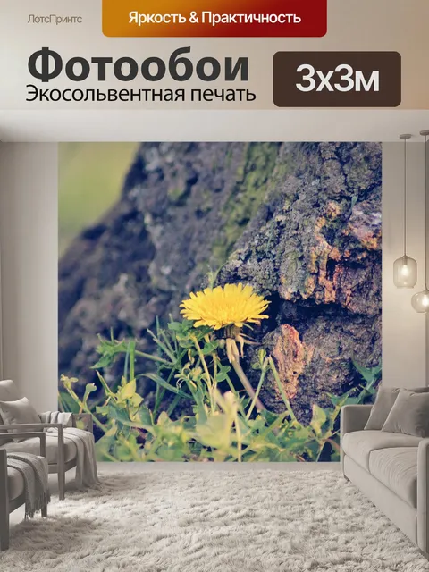 Фотообои Одуванчик
