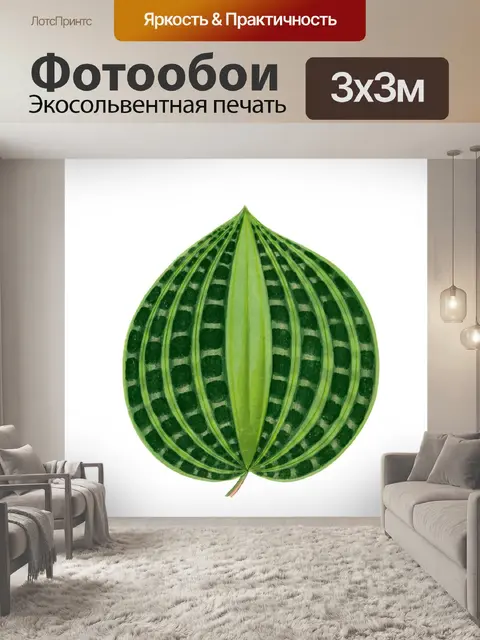 Фотообои Листва лист растение прозрачный