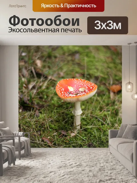 Фотообои Мох