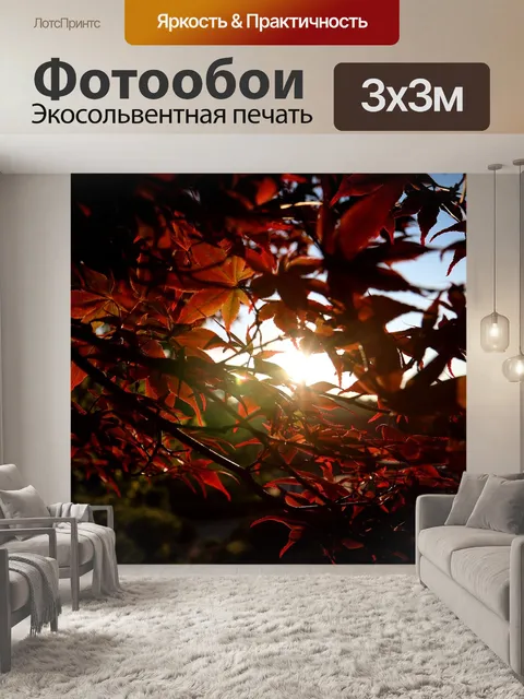 Фотообои Клен