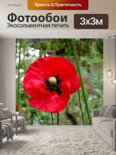 Фотообои Мака