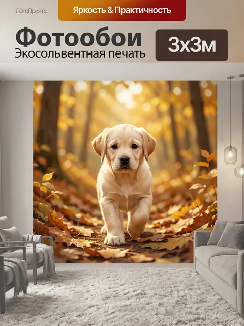 Фотообои Щенок лабрадора в осеннем лесу