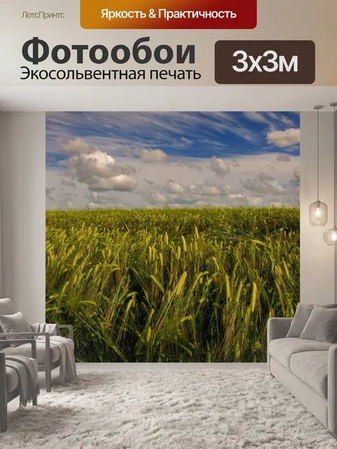 Фотообои Поля золота