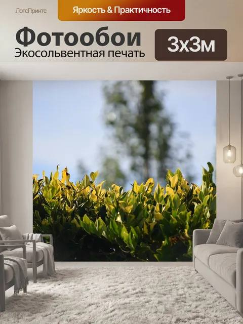Фотообои Деревья