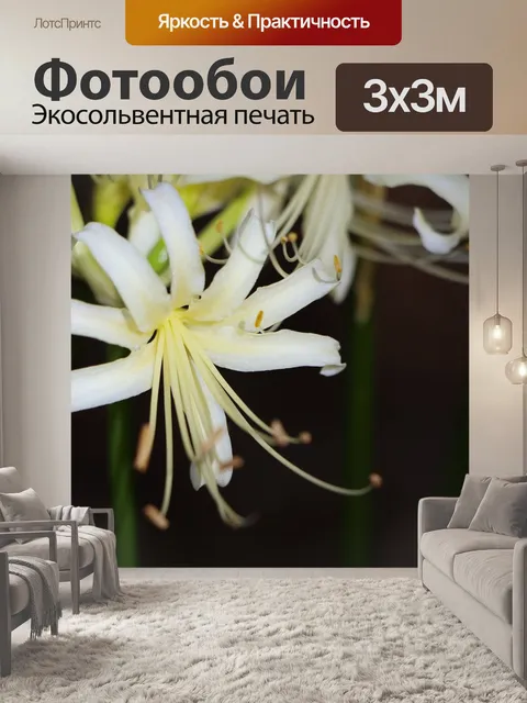 Фотообои Белый