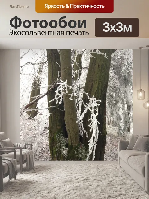 Фотообои Зима